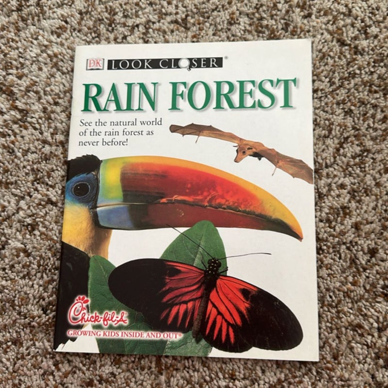 Rain Forest  