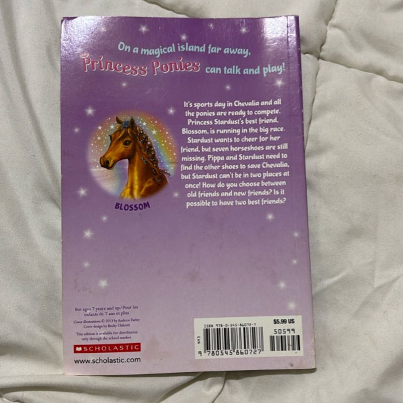 Princess Ponies A Dream Come True