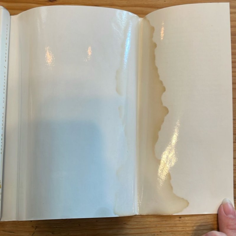 Letters to a Young Writer