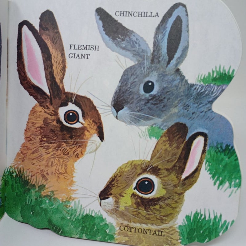 The Bunny Book 