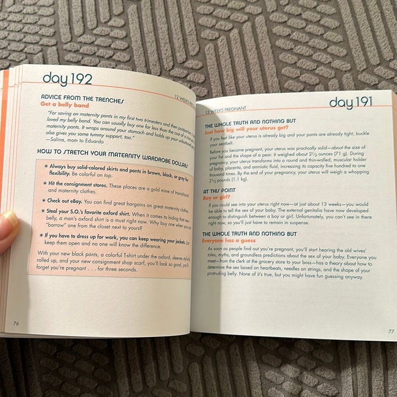 The Pregnancy Countdown Book