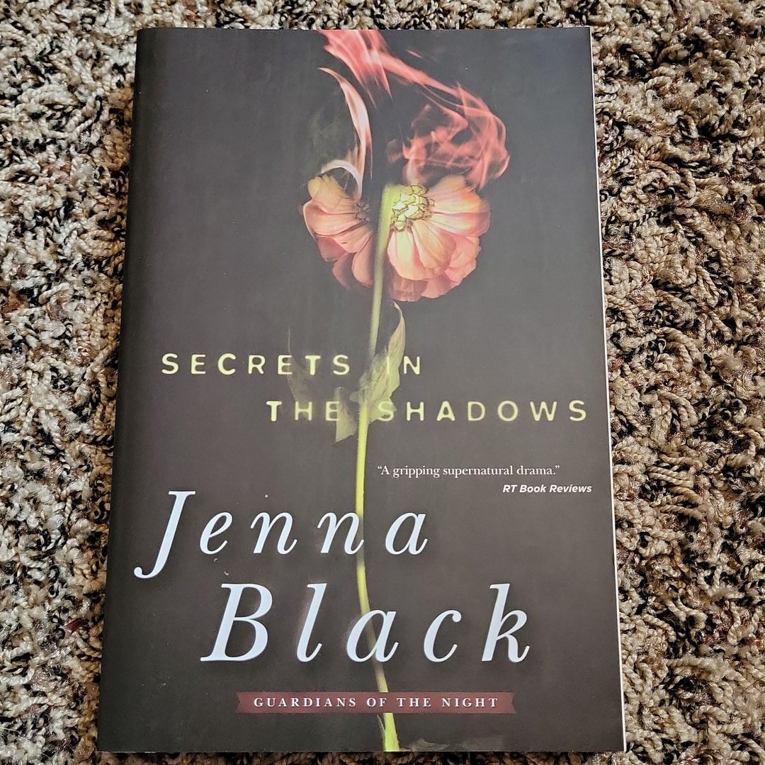 Secrets in the Shadows: Guardians of the Night 2