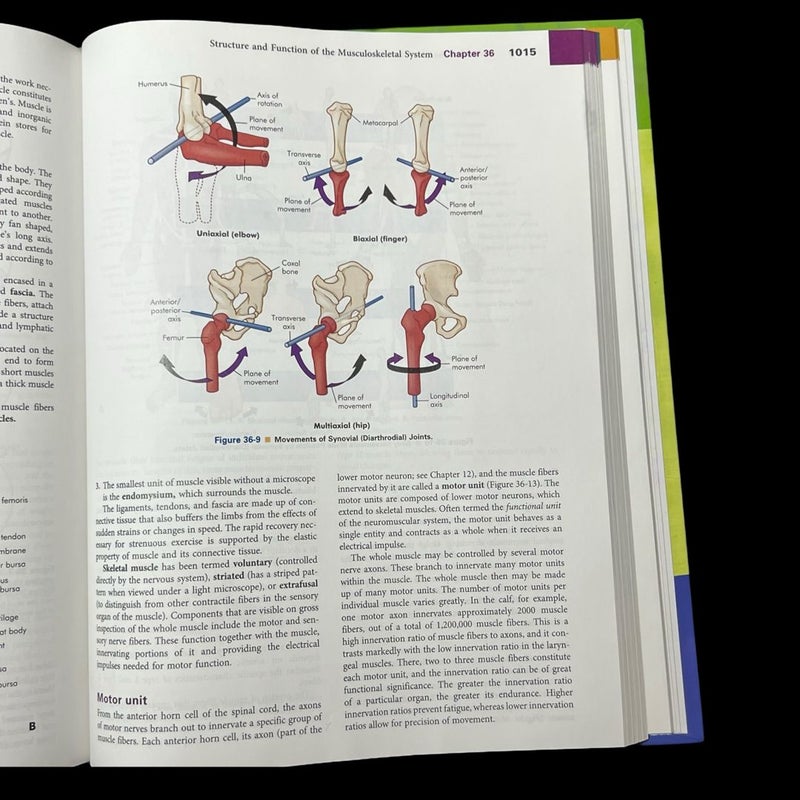 Understanding Pathophysiology