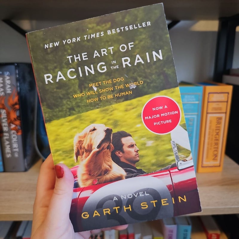 The Art of Racing in the Rain Tie-In