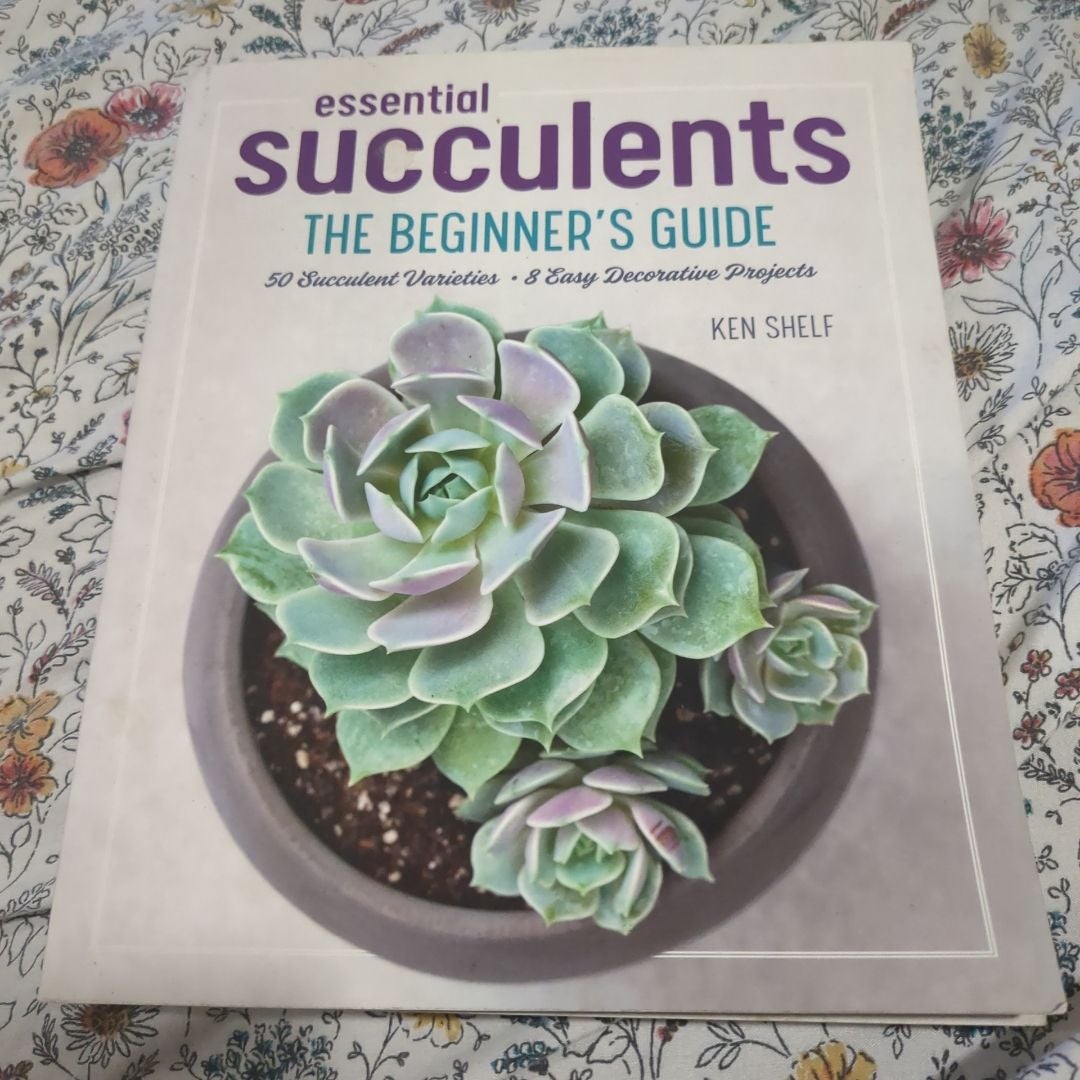 Essential Succulents