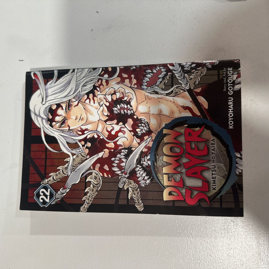 Demon Slayer: Kimetsu No Yaiba, Vol. 22
