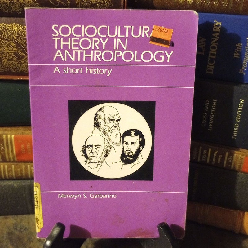 Sociocultural Theory in Anthropology