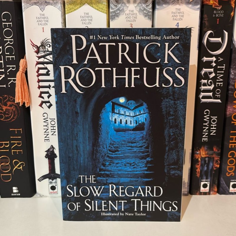 The Slow Regard of Silent Things by Patrick Rothfuss