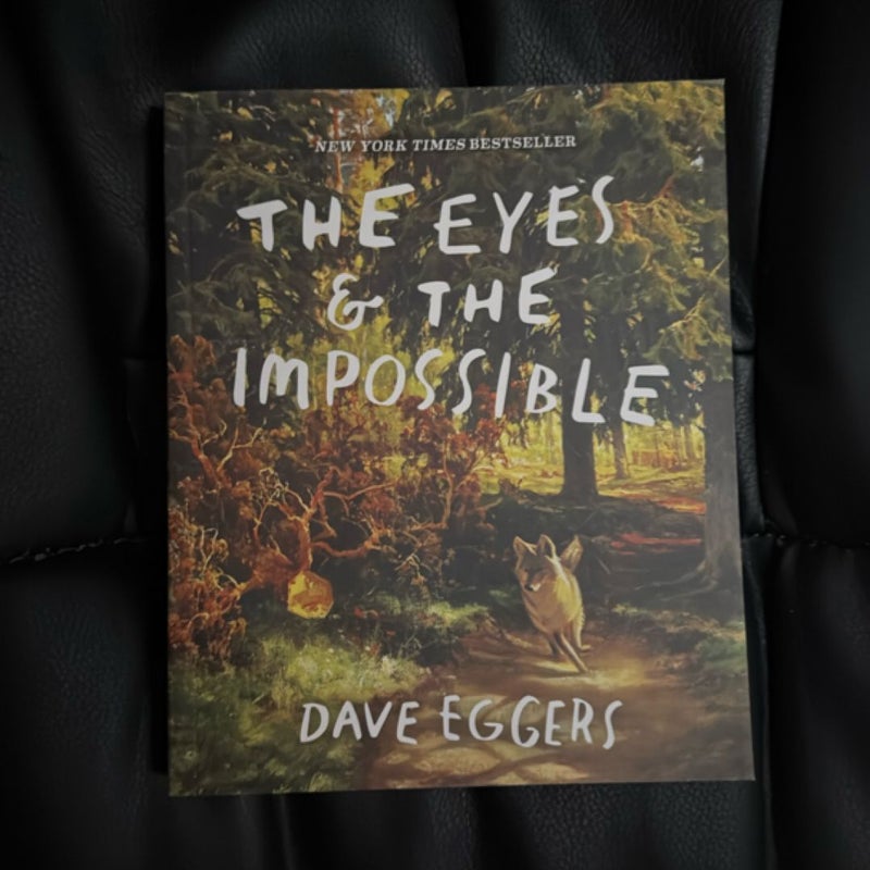 The Eyes and the Impossible