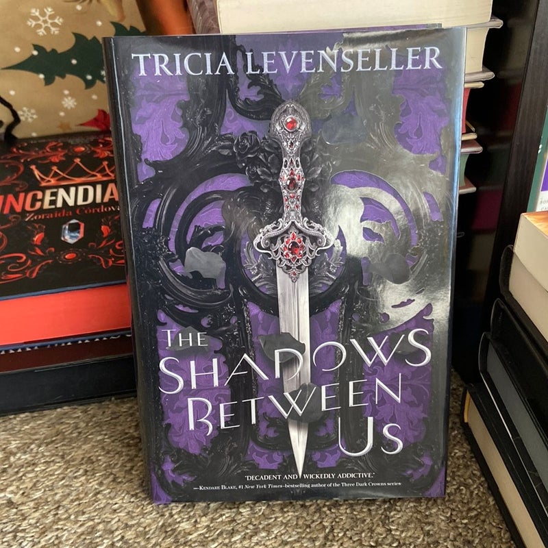  The Shadows Between Us: 9781250189967: Levenseller, Tricia:  Books