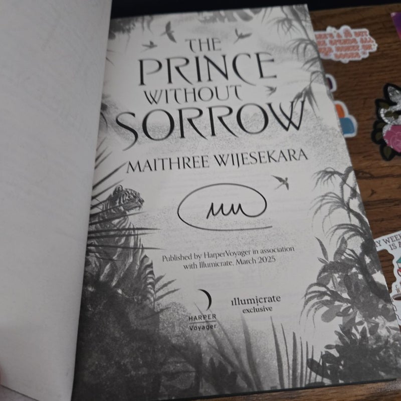 The Prince Without Sorrow