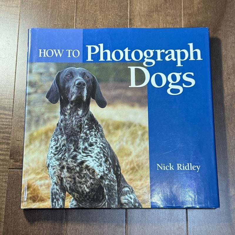 How to Photograph Dogs
