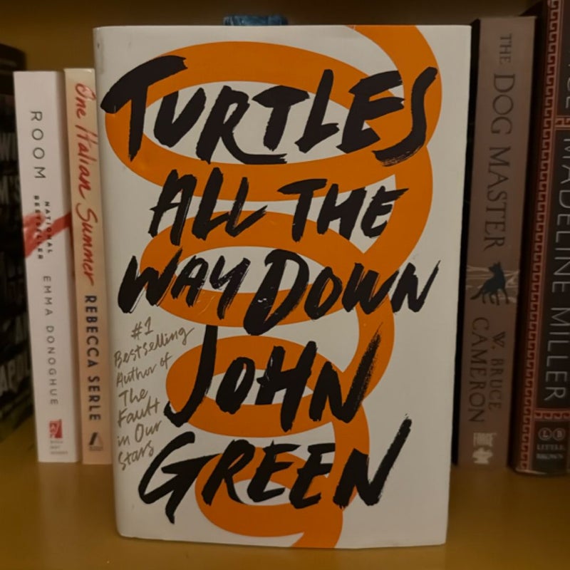 Turtles All the Way Down
