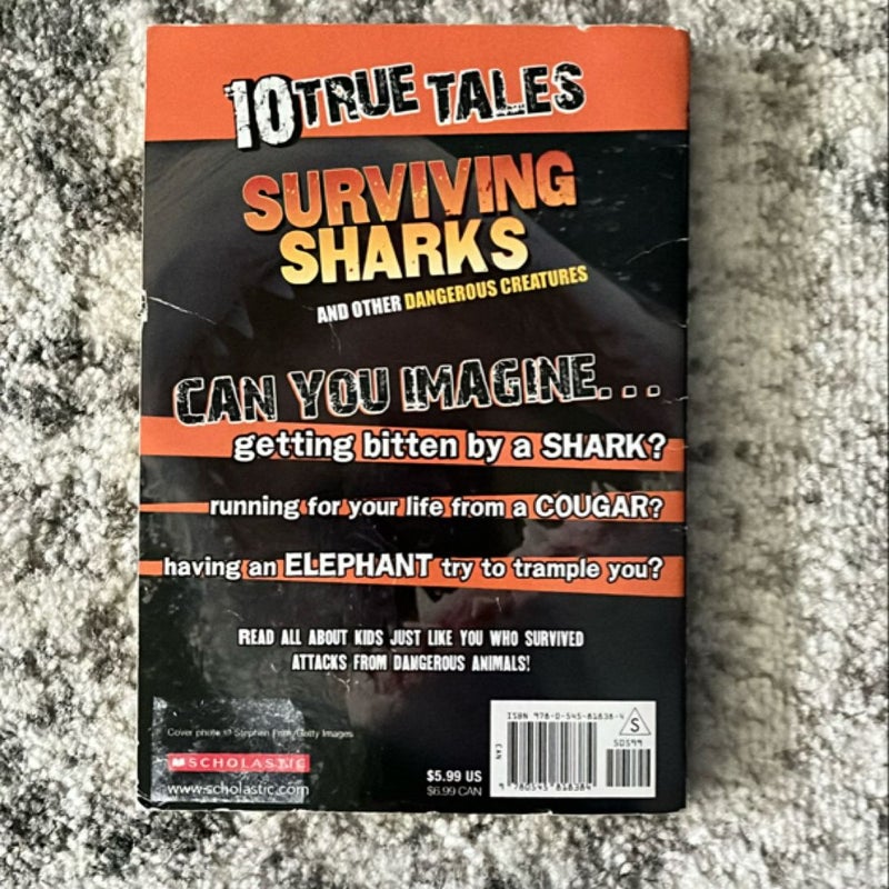 Surviving Sharks (10 True Tales)