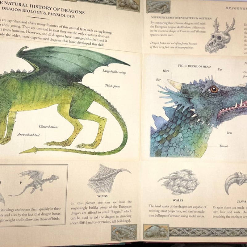 The Complete Book of Dragons 