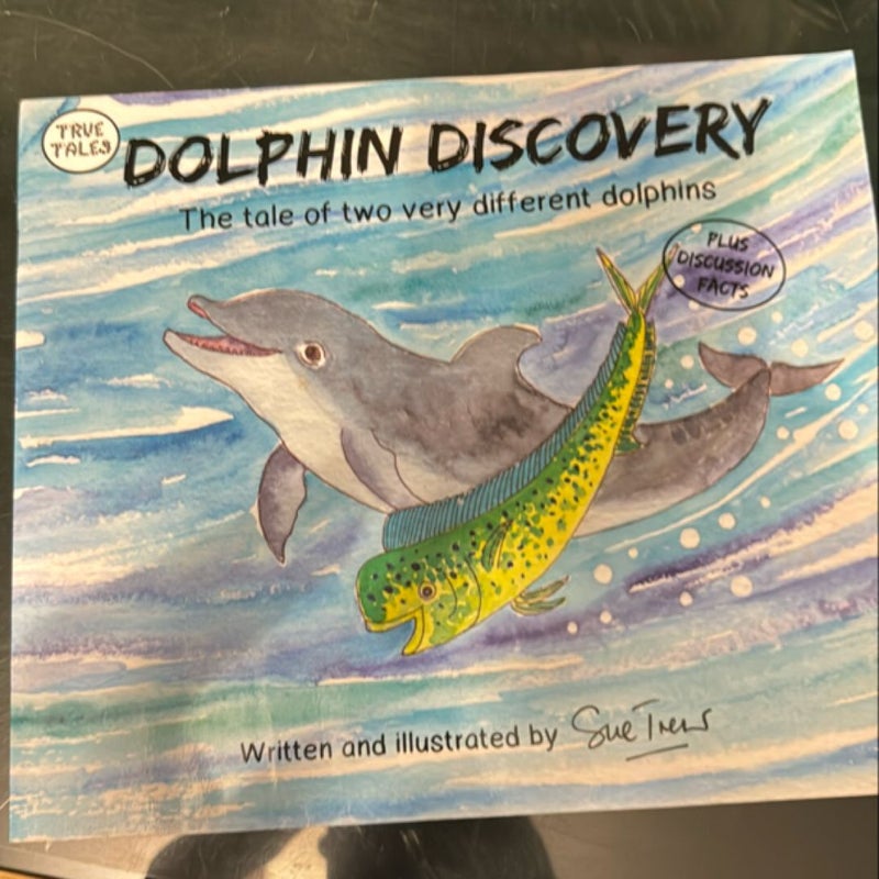 Dolphin Discovery