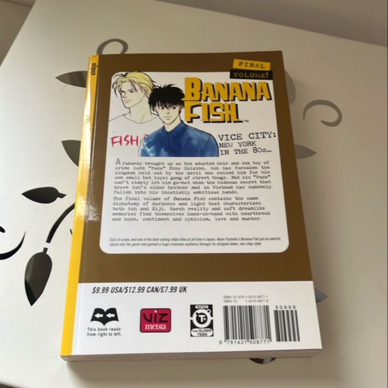 Banana Fish, Vol. 19