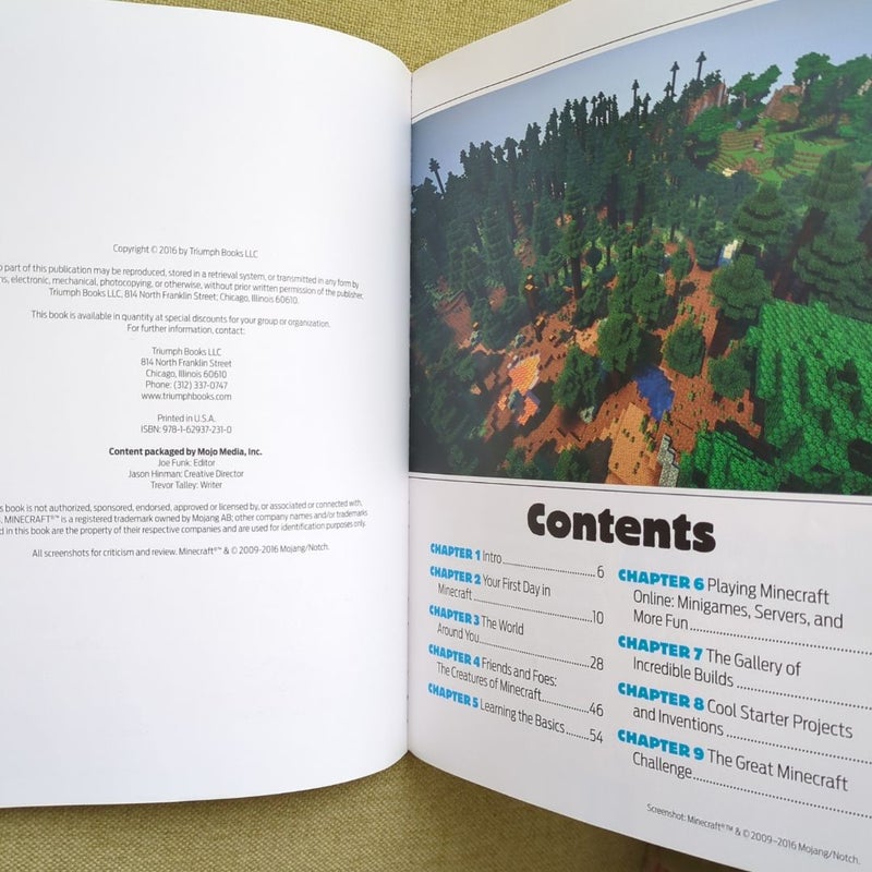 Minecraft Secrets: Master Builder Junior
