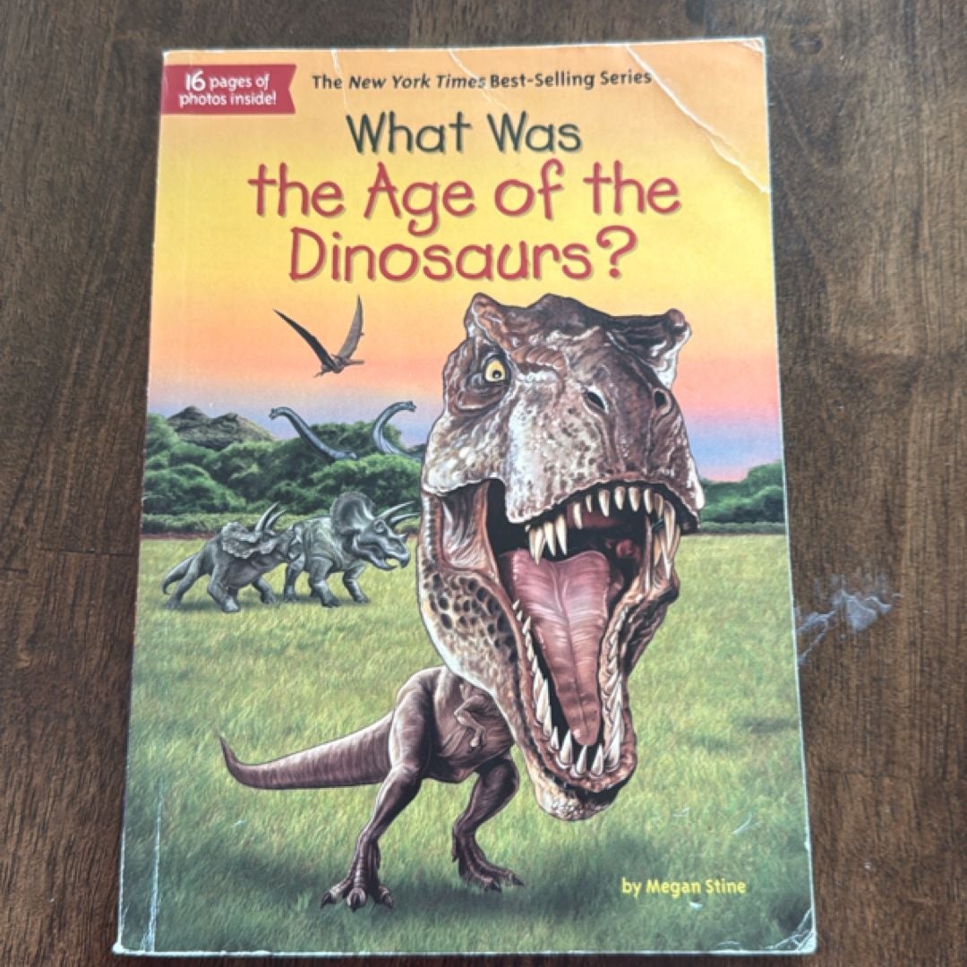 What Was the Age of the Dinosaurs?