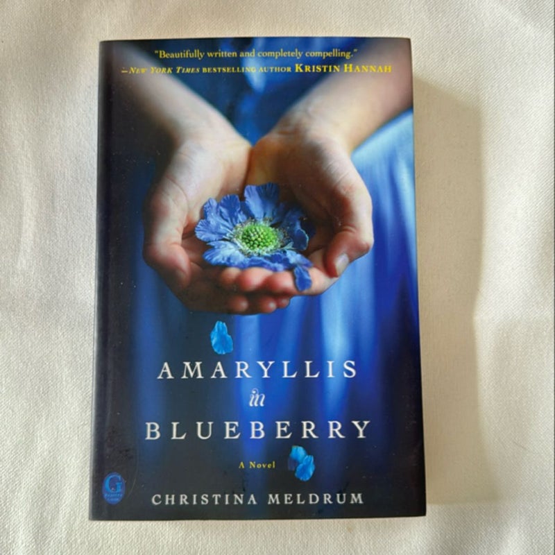 Amaryllis in Blueberry