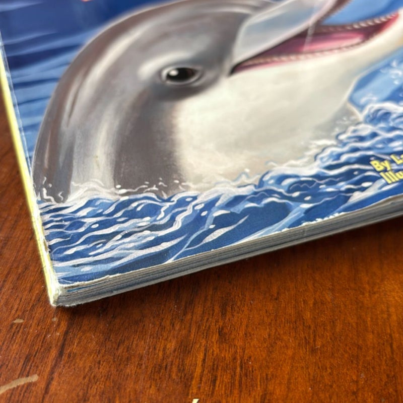 Do Dolphins Really Smile?
