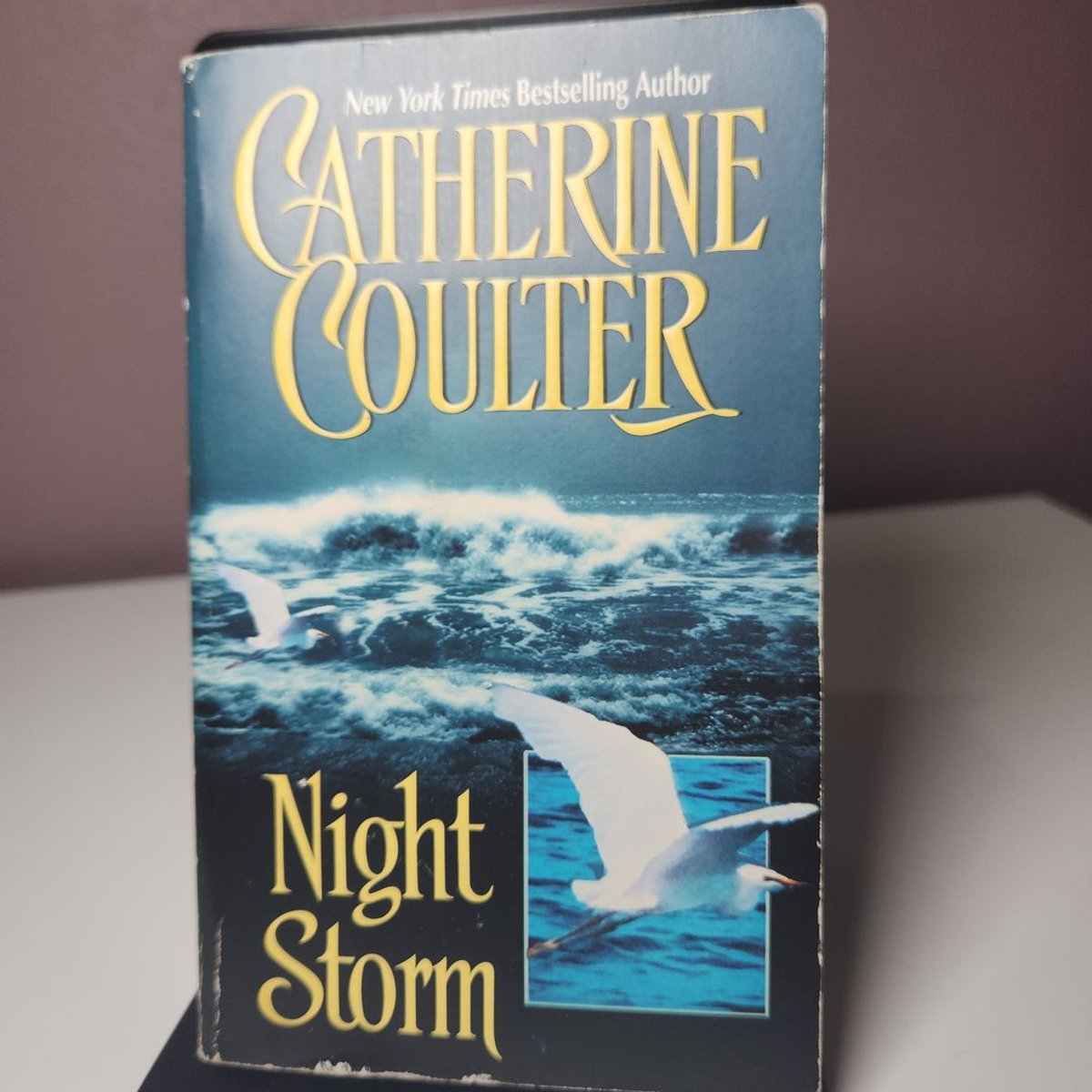 night-storm-by-catherine-coulter