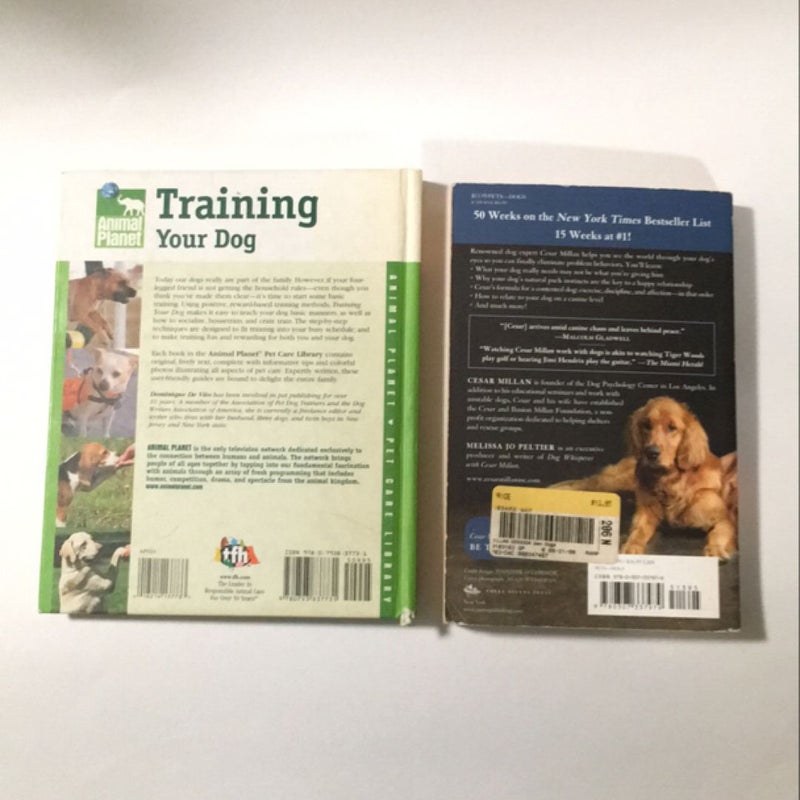 Training Your Dog