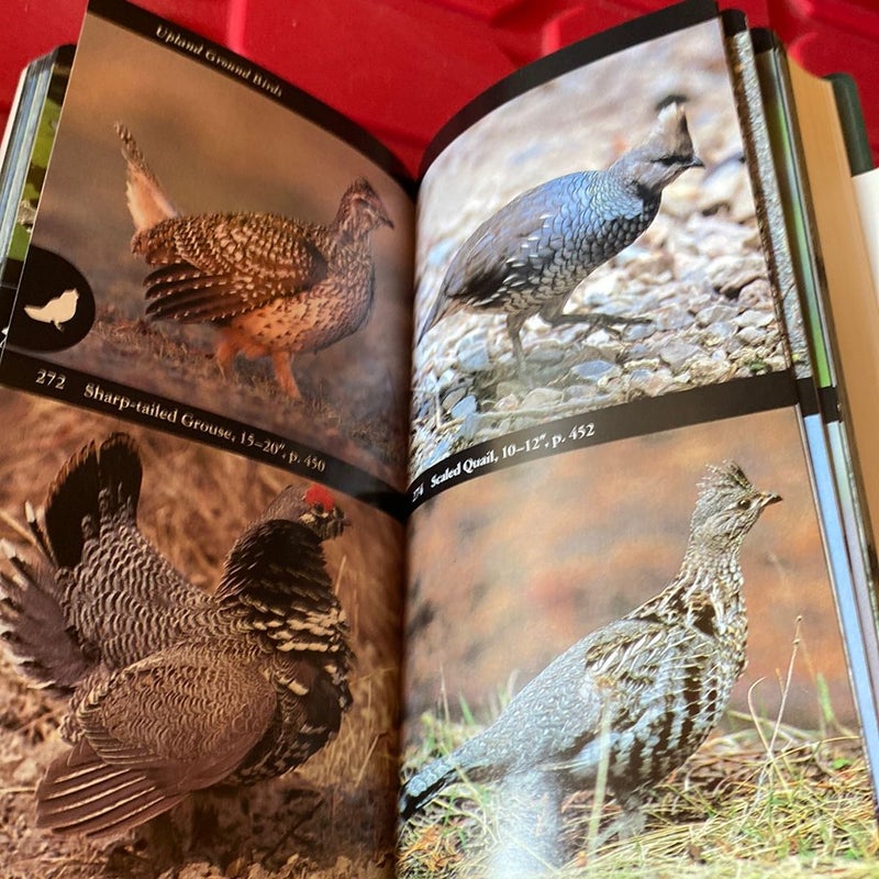 National Audubon Society Field Guide to North American Birds--E