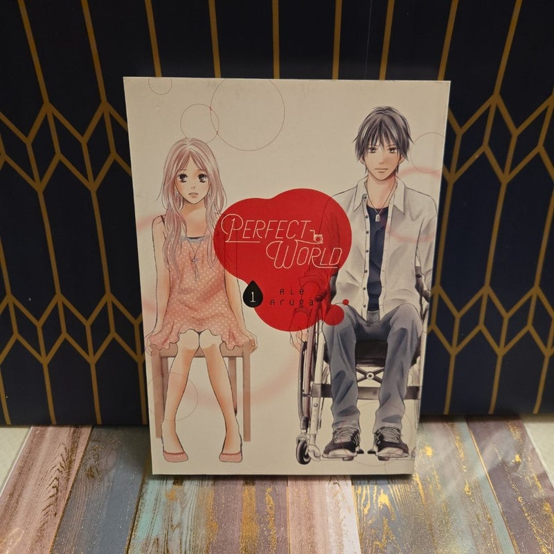 Perfect World 1