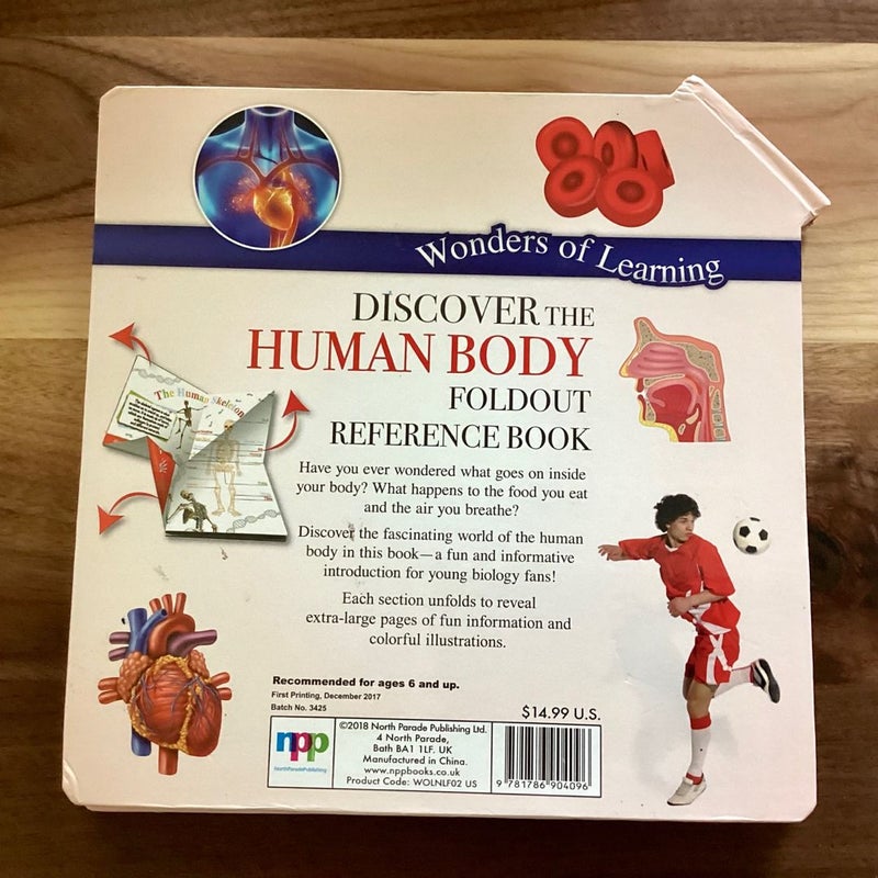 Discover The Human Body 