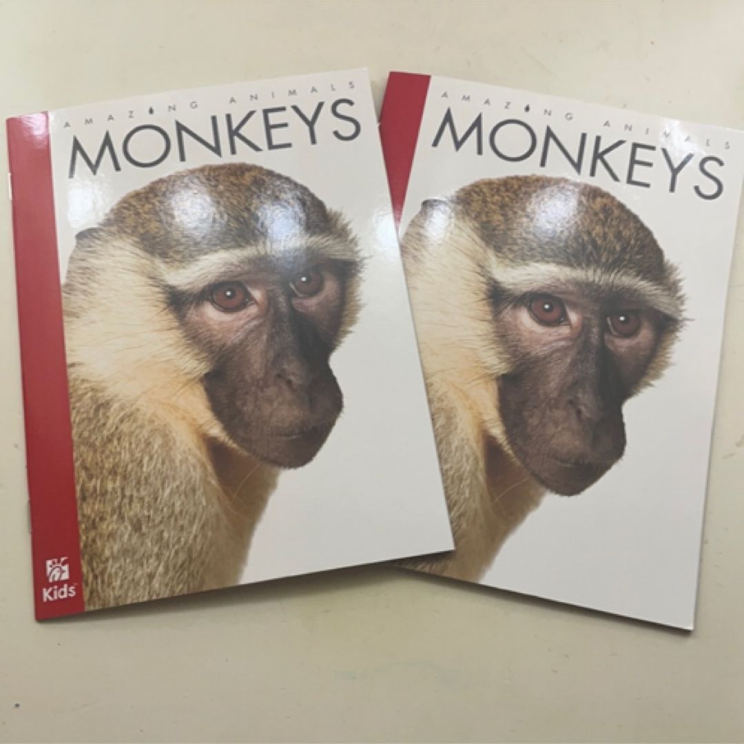 Lot of 2 Amazing Animals- Monkeys