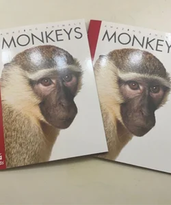 Lot of 2 Amazing Animals- Monkeys
