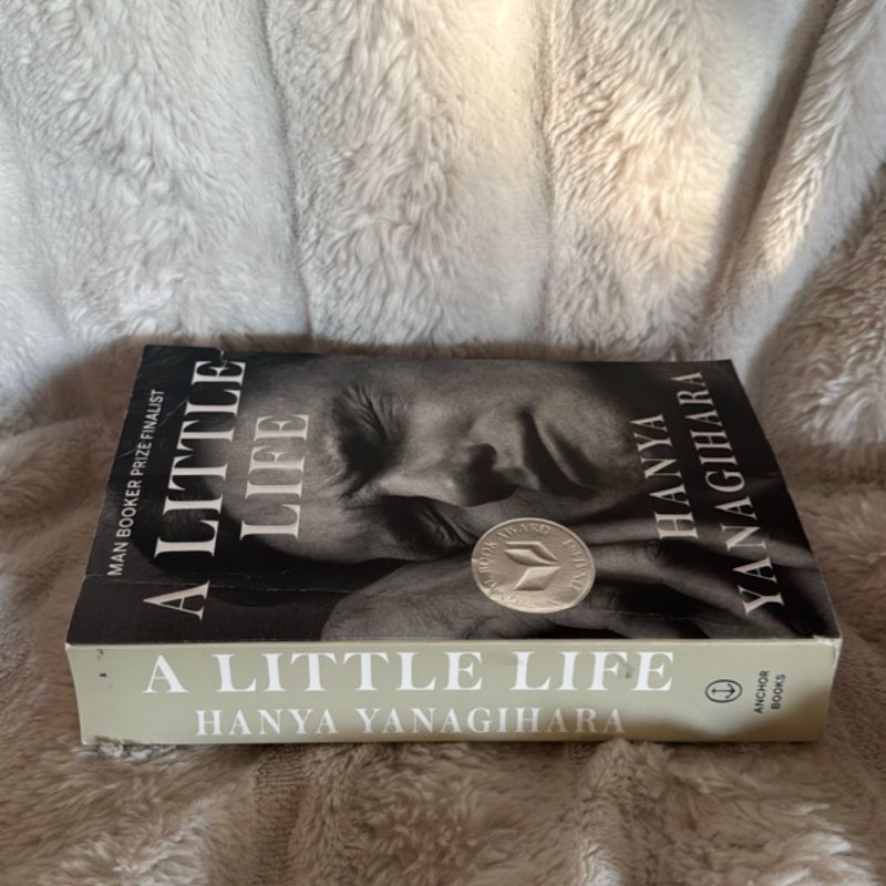 A Little Life