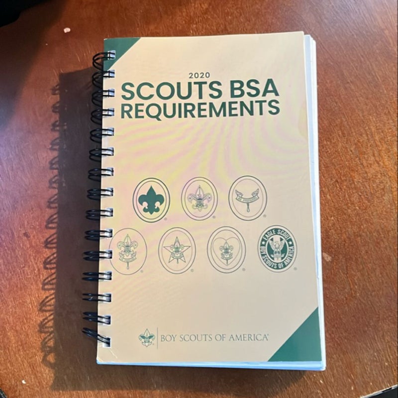 Boy Scout Requirements