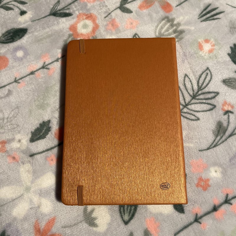 Fairyloot Journal