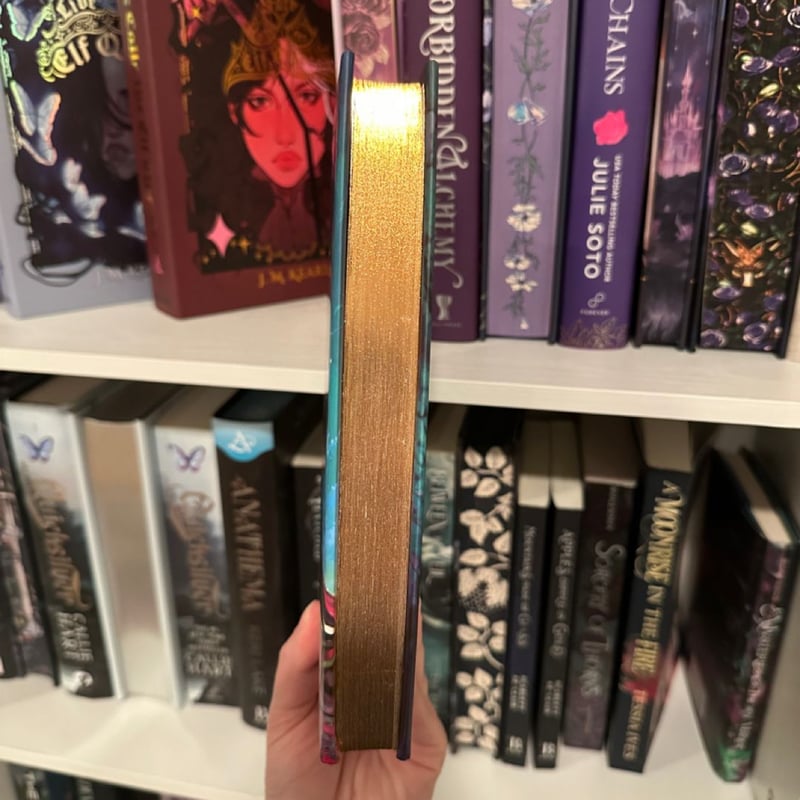 A Dawn with the Wolf Knight