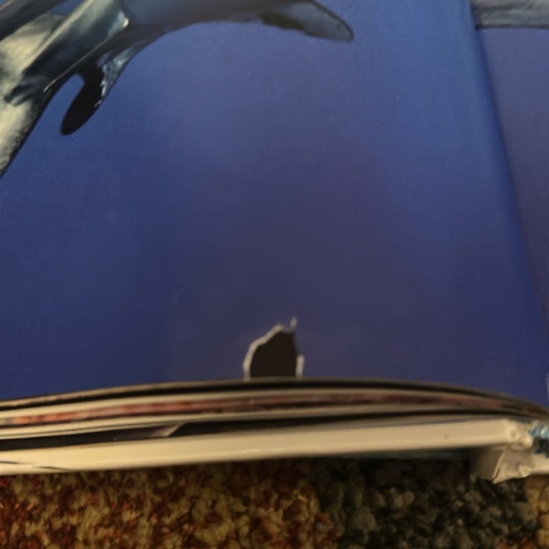 Super Shark Encyclopedia