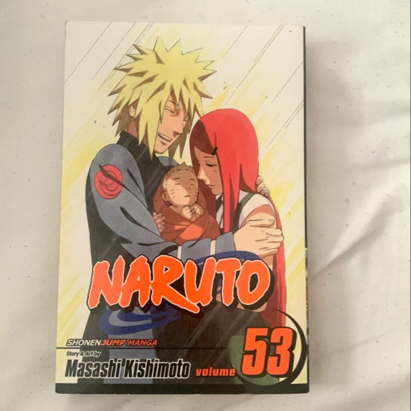 Naruto, Vol. 53