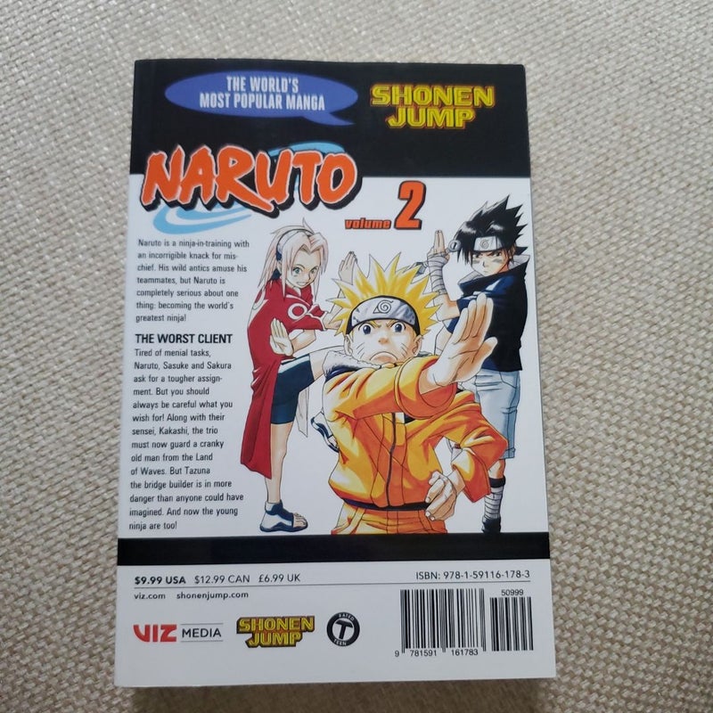 Naruto, Vol. 2