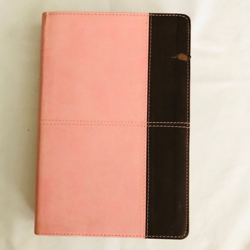 HCSB Large Print Personal Size Bible, Pink/Brown LeatherTouch Indexed