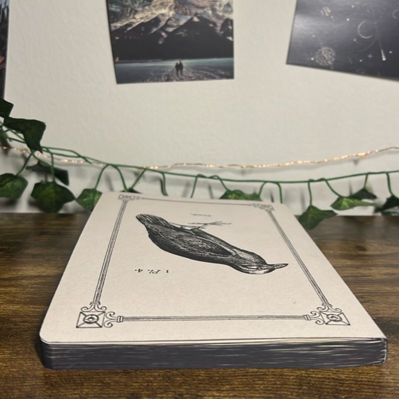 Crow Notebook