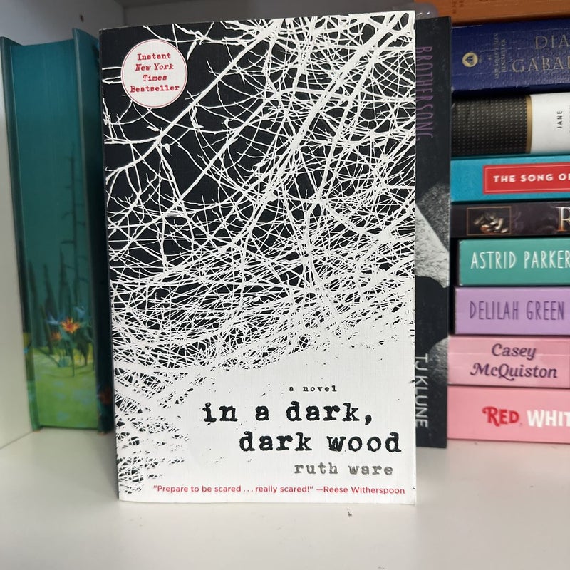 In a dark dark wood 