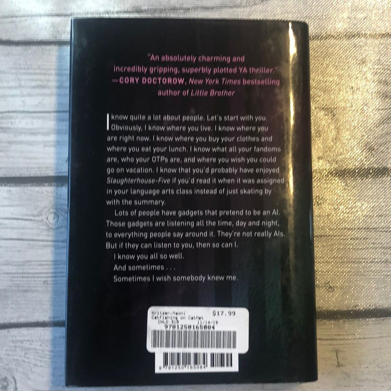 Catfishing on by Naomi Kritzer, Hardcover Pangobooks