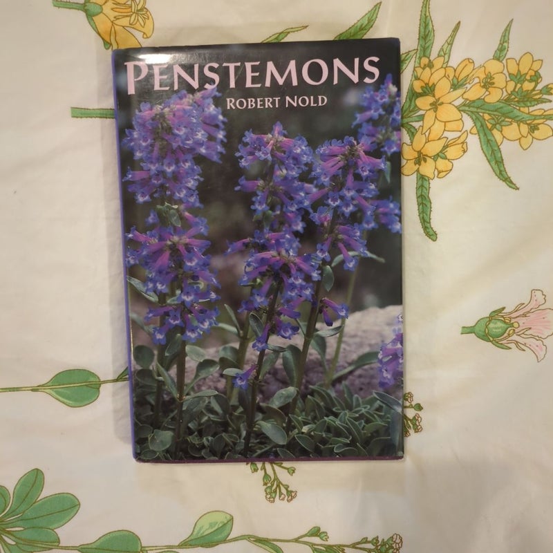 Penstemons