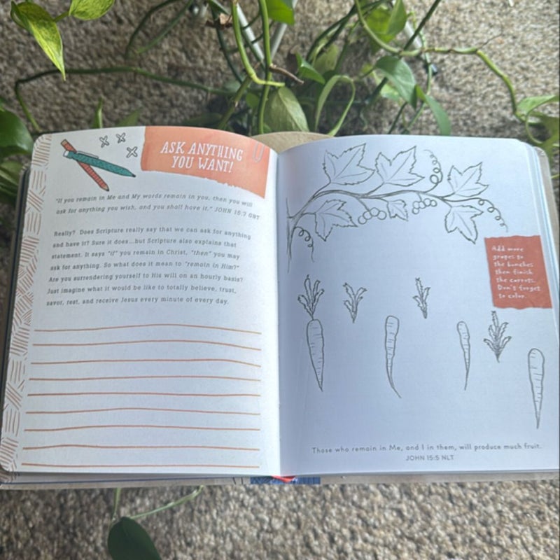 The Devotional Doodle Journal