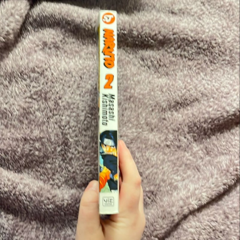 Naruto, Vol. 2