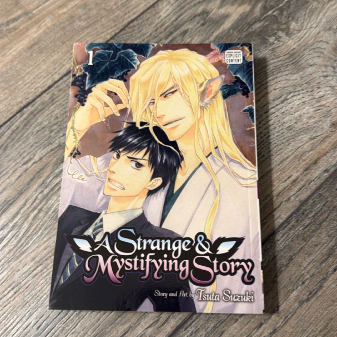 A Strange and Mystifying Story, Vol. 1