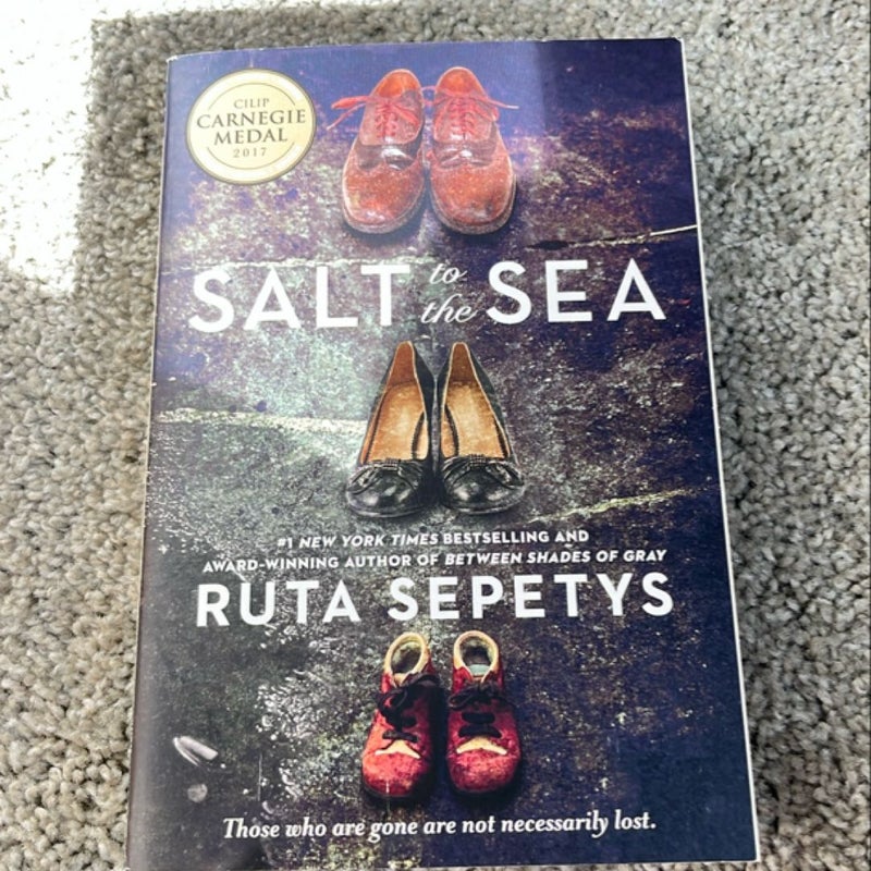 Salt to the Sea