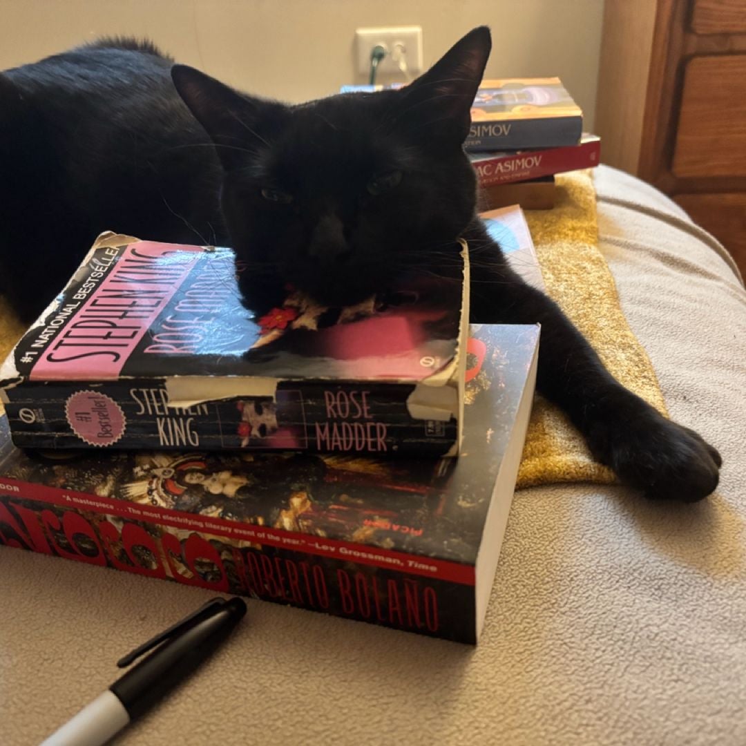 Sarah’s Basement Books