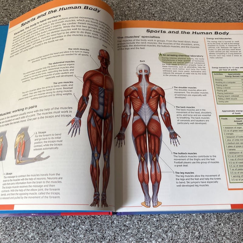 Scholastic Visual Sports Encyclopedia